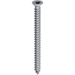 Self Tapping Screw 4 x 1"